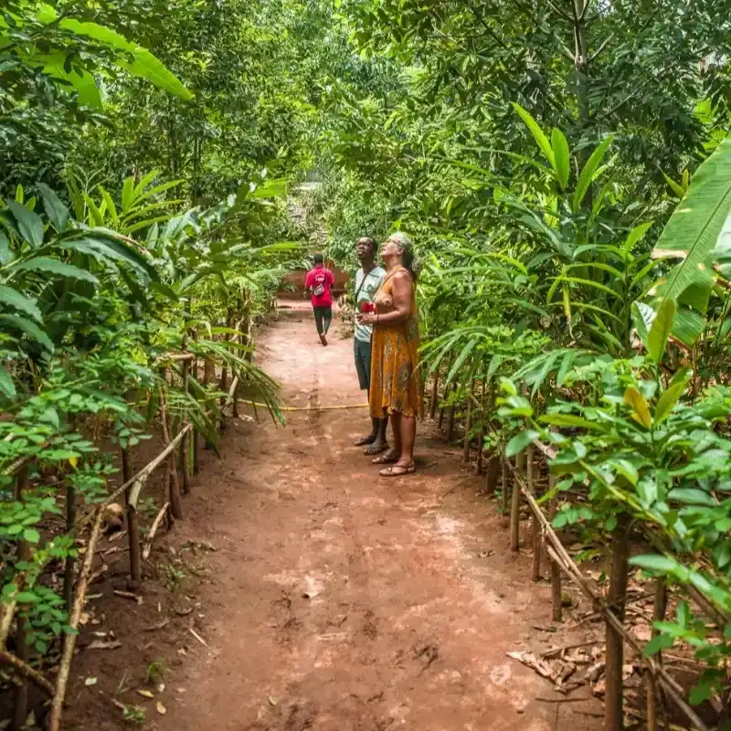 Spice Farm Tour