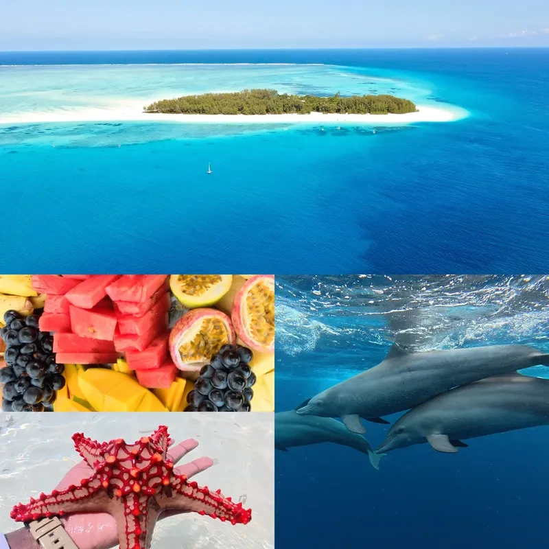 Private Mnemba Snorkeling Trip - Half Day Experience