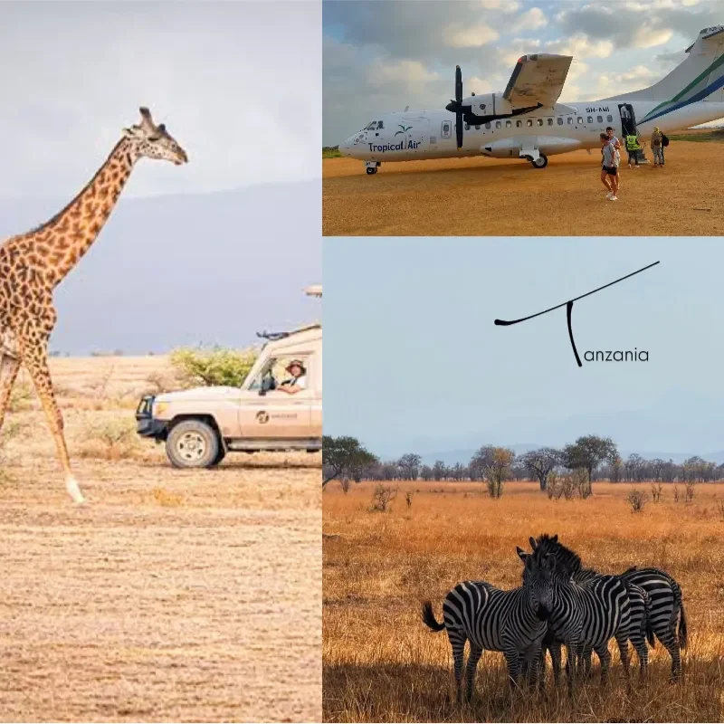 Full-Day Mikumi National Park Safari