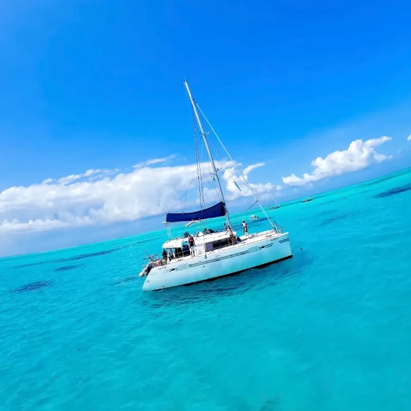 Premium Luxury Catamaran - Half-Day Cruise